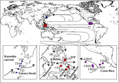 Micro-/Meso-Scale Distinction and Horizontal Migration of Tintinnid (Ciliophora: Tintinnida) Assemblages in Three Regions Around the North Pacific Ocean